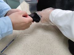 -总动员动物医院(宝丰院店)