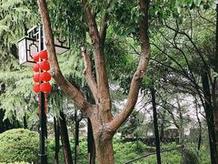 -阅江楼风景区