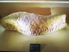 -安徽省地质博物馆