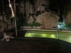 -海口观澜湖火山温泉谷