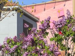 -斯普瑞斯奥特莱斯