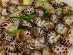 花螺-海景苑海鲜大酒店(吕四店)