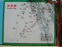 -王顺山国家森林公园