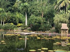 -中国科学院西双版纳热带植物园