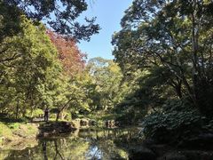 -秋霞圃