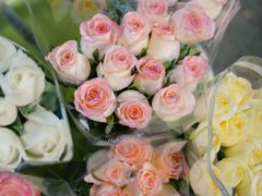 -循礼门鲜花花市(武汉循礼门店)