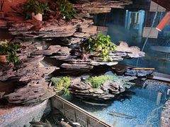 -山水茶艺馆·点心粤菜·30年老字号