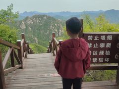 -大岭沟猕猴桃谷风景区