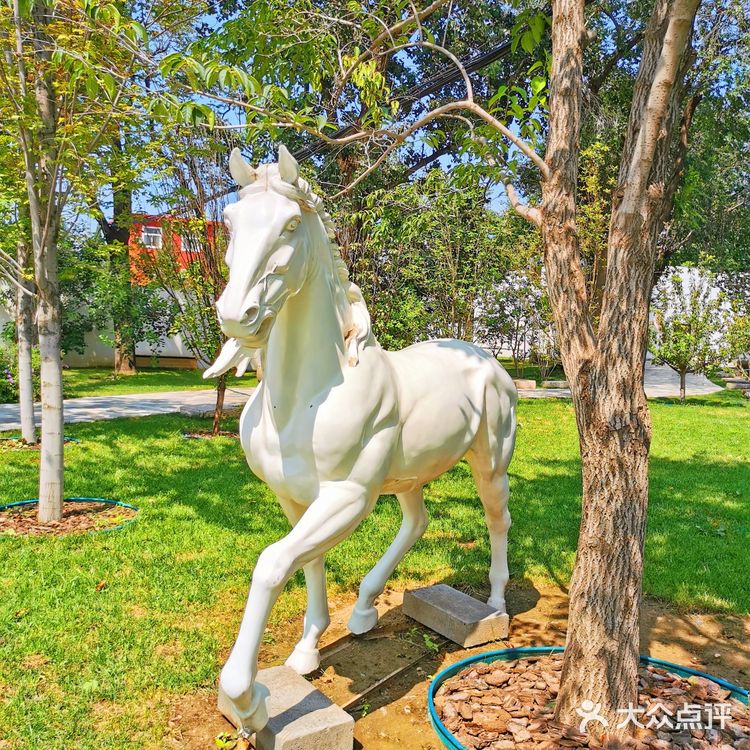 发呆一下午，出片300张