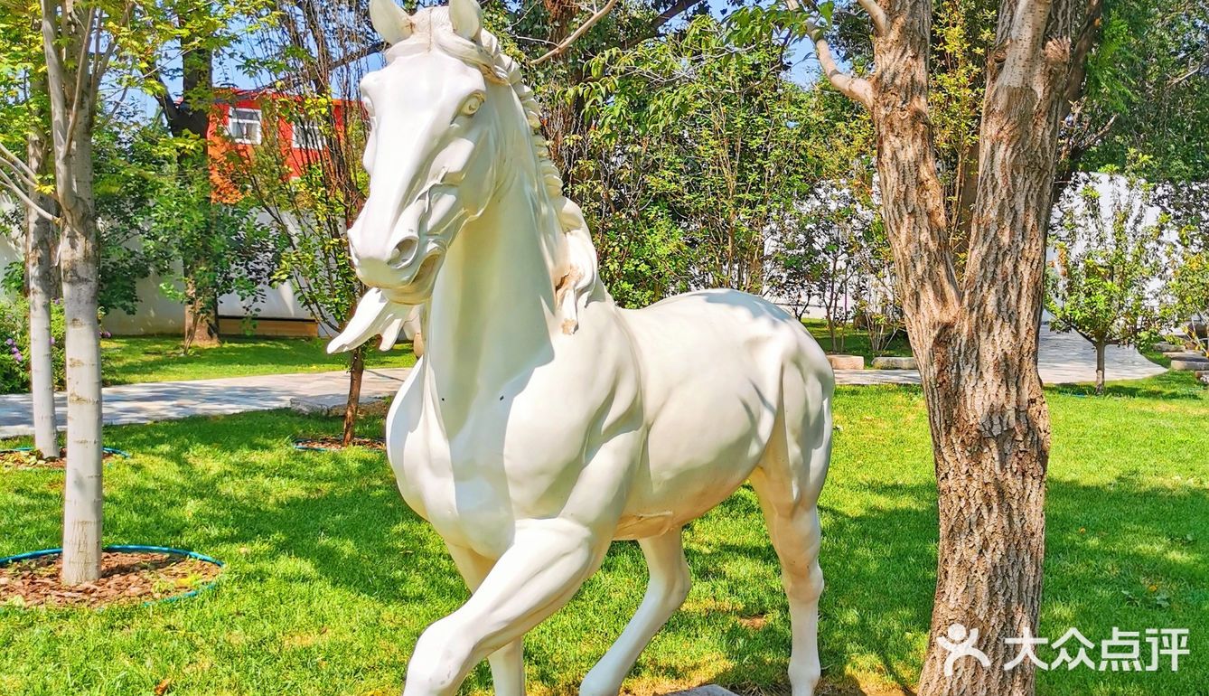 发呆一下午，出片300张