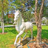 发呆一下午，出片300张