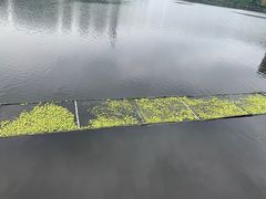 -重庆彩云湖湿地公园
