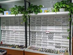 -视野联行眼镜•蔡司•依视路(温江店)