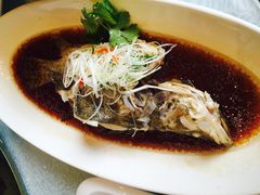 -骏莱海鲜鱼港(五角场店)