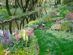 -上海共青森林公园