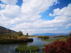 -才村湿地公园