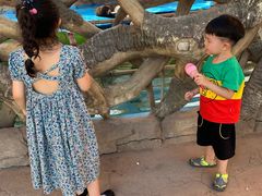 -华夏文旅海洋公园