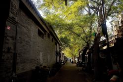 -大白兔奶糖(南锣鼓巷店)