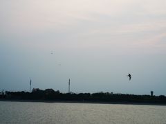 -天津金海湖