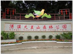 -清溪大王山森林公园