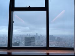 -上海龙之梦万丽酒店