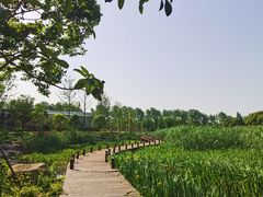 -同里国家湿地公园