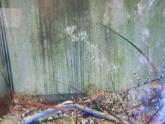 -旅南活海鲜-屏东(墾丁海鮮，海鮮餐廳，墾丁團體合菜，平價熱炒，墾丁熱炒店，活海鮮推薦，在地海鮮餐廳)