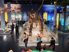 -国家自然博物馆