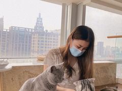 -Catmate·猫肥家润(金润铂宫店)