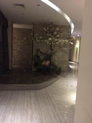 -娇莉芙美颜SPA连锁
