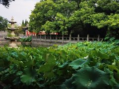 -洛阳白马寺
