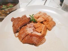 -MR鹅外