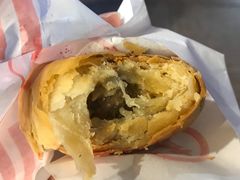 -真老大房鲜肉月饼(南京路步行街店)