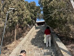 -白佛山景区