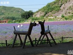 -紫海香堤香草艺术庄园