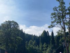 -武陵山森林公园