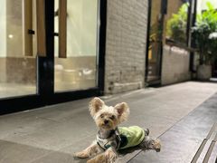 -小意思咖啡店(草桥店)