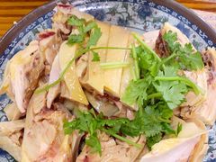 -九斤黄三黄鸡专卖店