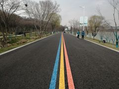 -羊山湖公园