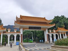 -深圳仙湖植物园