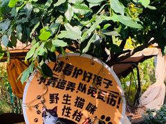 -龙猫意杯花园餐厅(芙蓉湖店)