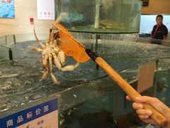 -大方圆酒楼(西门大街店)