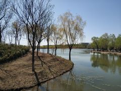 -东郊湿地公园