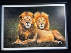 -罗红摄影艺术馆