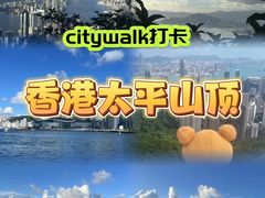 -太平山顶