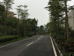 -台山颐和温泉城