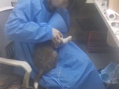 -联合动物医院(光谷诊疗中心)