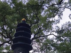 -普陀山风景名胜区-法雨禅寺