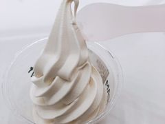 明前茉莉冰淇淋-夻茶HUATEA(水晶郦城店)