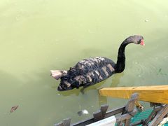 -艾溪湖湿地公园